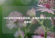 PUBG安全切换服务器指南，区域修改 *** 与注意事项