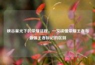 峡谷星光下的荣耀征程，一文读懂荣耀王者与最强王者标记的区别