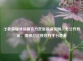 王者荣耀体验服官方获取渠道说明，无公开网址，需通过正规官方平台查询