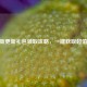 CF最新更新礼包领取攻略，一键获取超值福利