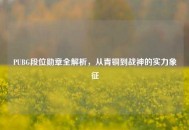 PUBG段位勋章全解析，从青铜到战神的实力象征