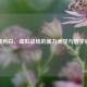 逆战月白，虚拟战场的暴力美学与哲学镜像
