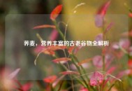 荞麦，营养丰富的古老谷物全解析