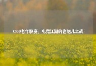 CSGO老年联赛，电竞江湖的老炮儿之战