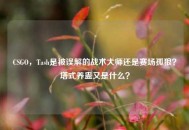 CSGO，Tash是被误解的战术***还是赛场孤狼？塔式养蛊又是什么？