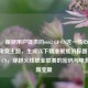 （注，根据用户提供的6662 CF CN这一核心信息，结合电竞主题，生成以下精准聚焦的标题），6662 CF CN，穿越火线职业联赛的密码与电竞产业新变量