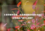 王者荣耀体验服，非普通服藏游戏成长密码，白名单用户是什么意思？