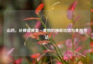山药，补脾健脾之一食物的神奇功效与食用     