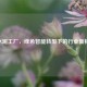 CF水泥工厂，绿色智能转型下的行业新标杆