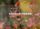      选购优质衣物实用指南