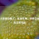 Steam火影冒险模式，重温经典，探索忍者世界的无限可能