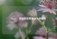 Steam，当虚拟世界撞进人间烟火