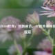 温州STEAM教育，创新融合，打造未来科技人才摇篮