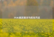 PUBG延迟显示与优化 *** 