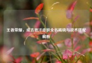 王者荣耀，成吉思汗皮肤全名揭晓与战术搭配解析