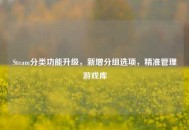 Steam分类功能升级，新增分组选项，精准管理游戏库
