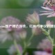 Steam国产擦边游戏，红利与争议的博弈