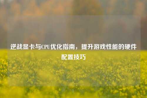 逆战显卡与CPU优化指南,提升游戏性能的硬件配置技巧
