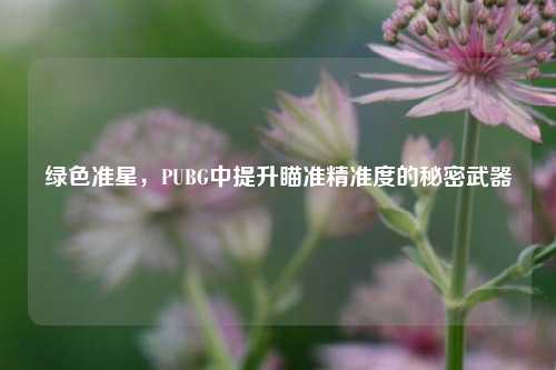 绿色准星,PUBG中提升瞄准精准度的秘密武器