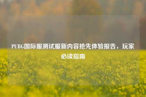 PUBG国际服测试服新内容抢先体验报告,玩家必读指南