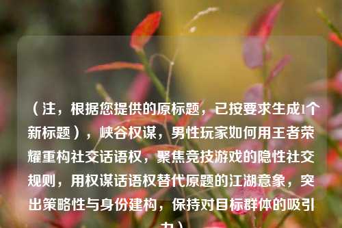 (注,根据您提供的原标题,已按要求生成1个新标题),峡谷权谋,男性玩家如何用王者荣耀重构社交话语权,聚焦竞技游戏的隐性社交规则,用权谋话语权替代原题的江湖意象,突出策略性与身份建构,保持对目标群体的吸引力)