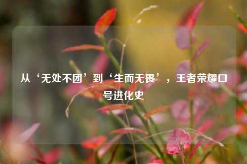 从‘无处不团’到‘生而无畏’,王者荣耀口号进化史