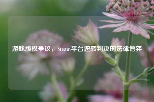 游戏版权争议,Steam平台逆转判决的法律博弈