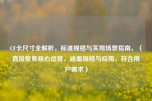 CF卡尺寸全解析,标准规格与实用场景指南,(直接聚焦核心信息,涵盖规格与应用,符合用户需求)