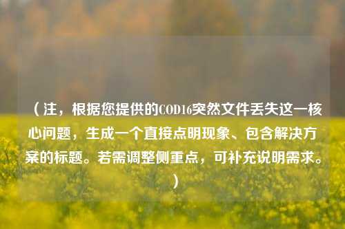 (注,根据您提供的COD16突然文件丢失这一核心问题,生成一个直接点明现象、包含解决方案的标题。若需调整侧重点,可补充说明需求。)