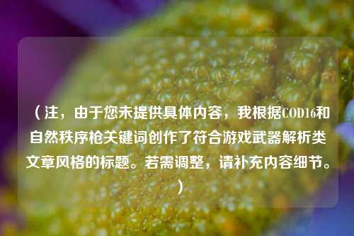 (注,由于您未提供具体内容,我根据COD16和自然秩序枪关键词创作了符合游戏武器解析类文章风格的标题。若需调整,请补充内容细节。)