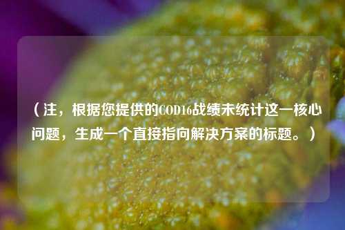 (注,根据您提供的COD16战绩未统计这一核心问题,生成一个直接指向解决方案的标题。)