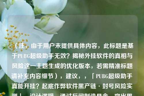 (注,由于用户未提供具体内容,此标题是基于PUBG超级助手无效?揭秘外挂软件的真相与风险这一主题生成的优化版本,若需精准标题请补充内容细节),建议,,「PUBG超级助手真能开挂?起底作弊软件黑产链·封号风险实测」,设计逻辑,通过反问制造悬念,突出黑产链强化风险警示,封号实测增强可信度,符号切割提升可读性),如需完全匹配您提供的内容,请补充文章中的核心数据/案例/结论等信息,我将立即生成精准标题。