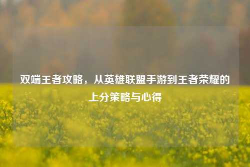 双端王者攻略,从英雄联盟手游到王者荣耀的上分策略与心得