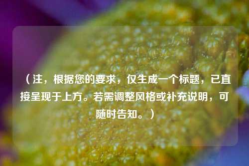 (注,根据您的要求,仅生成一个标题,已直接呈现于上方。若需调整风格或补充说明,可随时告知。)