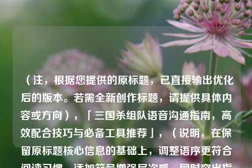(注,根据您提供的原标题,已直接输出优化后的版本。若需全新创作标题,请提供具体内容或方向),「三国杀组队语音沟通指南,高效配合技巧与必备工具推荐」,(说明,在保留原标题核心信息的基础上,调整语序更符合阅读习惯,添加符号增强层次感,同时突出指南属性提升实用性。)
