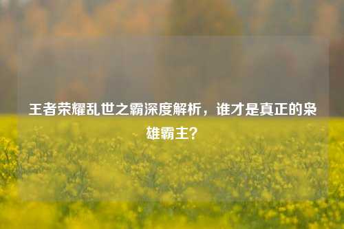 王者荣耀乱世之霸深度解析,谁才是真正的枭雄霸主?
