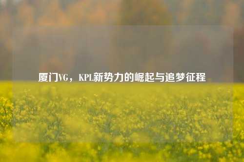 厦门VG,KPL新势力的崛起与追梦征程