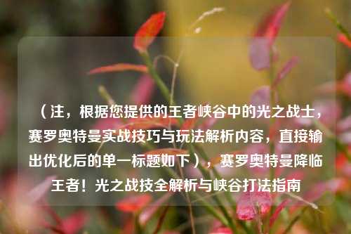 (注,根据您提供的王者峡谷中的光之战士,赛罗奥特曼实战技巧与玩法解析内容,直接输出优化后的单一标题如下),赛罗奥特曼降临王者!光之战技全解析与峡谷打法指南