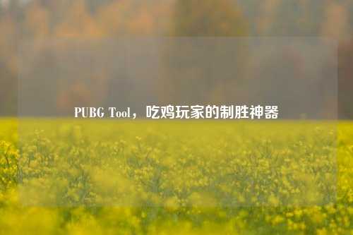 PUBG Tool,吃鸡玩家的制胜神器