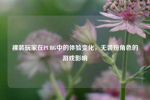 裸装玩家在PUBG中的体验变化,无装扮角色的游戏影响