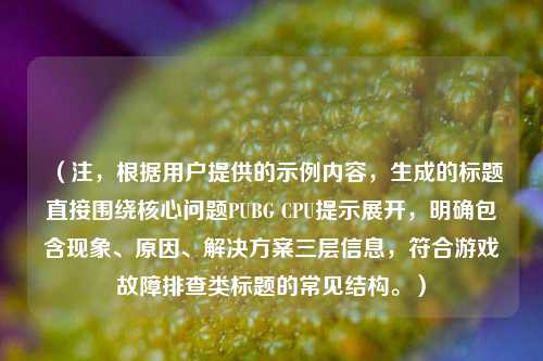 (注,根据用户提供的示例内容,生成的标题直接围绕核心问题PUBG CPU提示展开,明确包含现象、原因、解决方案三层信息,符合游戏故障排查类标题的常见结构。)