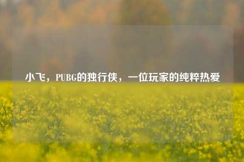 小飞,PUBG的独行侠,一位玩家的纯粹热爱