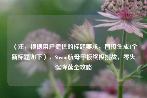 (注,根据用户提供的标题要求,直接生成1个新标题如下),Steam航母甲板终极挑战,零失误降落全攻略