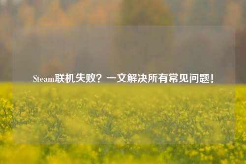 Steam联机失败?一文解决所有常见问题!