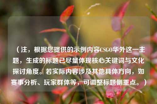 (注,根据您提供的示例内容CSGO华外这一主题,生成的标题已尽量体现核心关键词与文化探讨角度。若实际内容涉及其他具体方向,如赛事分析、玩家群体等,可调整标题侧重点。)