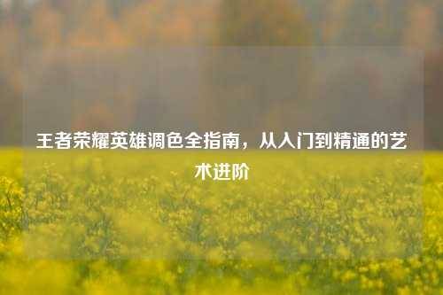 王者荣耀英雄调色全指南,从入门到精通的艺术进阶