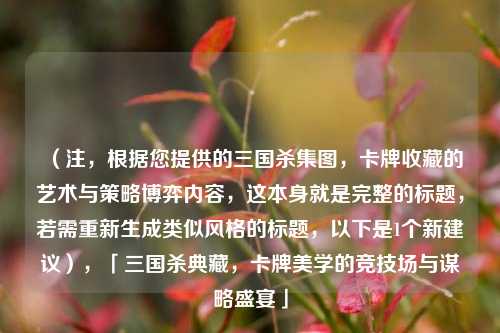 (注,根据您提供的三国杀集图,卡牌收藏的艺术与策略博弈内容,这本身就是完整的标题,若需重新生成类似风格的标题,以下是1个新建议),「三国杀典藏,卡牌美学的竞技场与谋略盛宴」