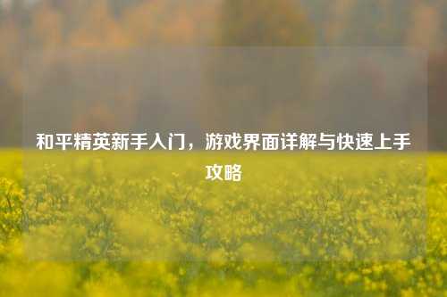 和平精英新手入门,游戏界面详解与快速上手攻略