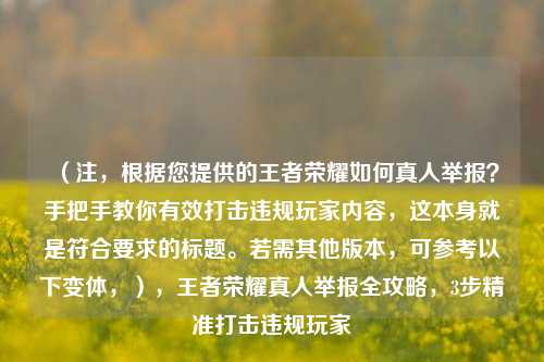 (注,根据您提供的王者荣耀如何真人举报?手把手教你有效打击违规玩家内容,这本身就是符合要求的标题。若需其他版本,可参考以下变体,),王者荣耀真人举报全攻略,3步精准打击违规玩家