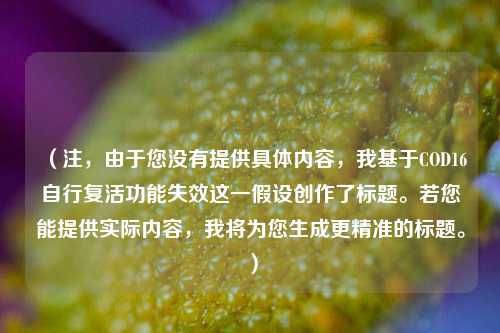 (注,由于您没有提供具体内容,我基于COD16自行复活功能失效这一假设创作了标题。若您能提供实际内容,我将为您生成更精准的标题。)